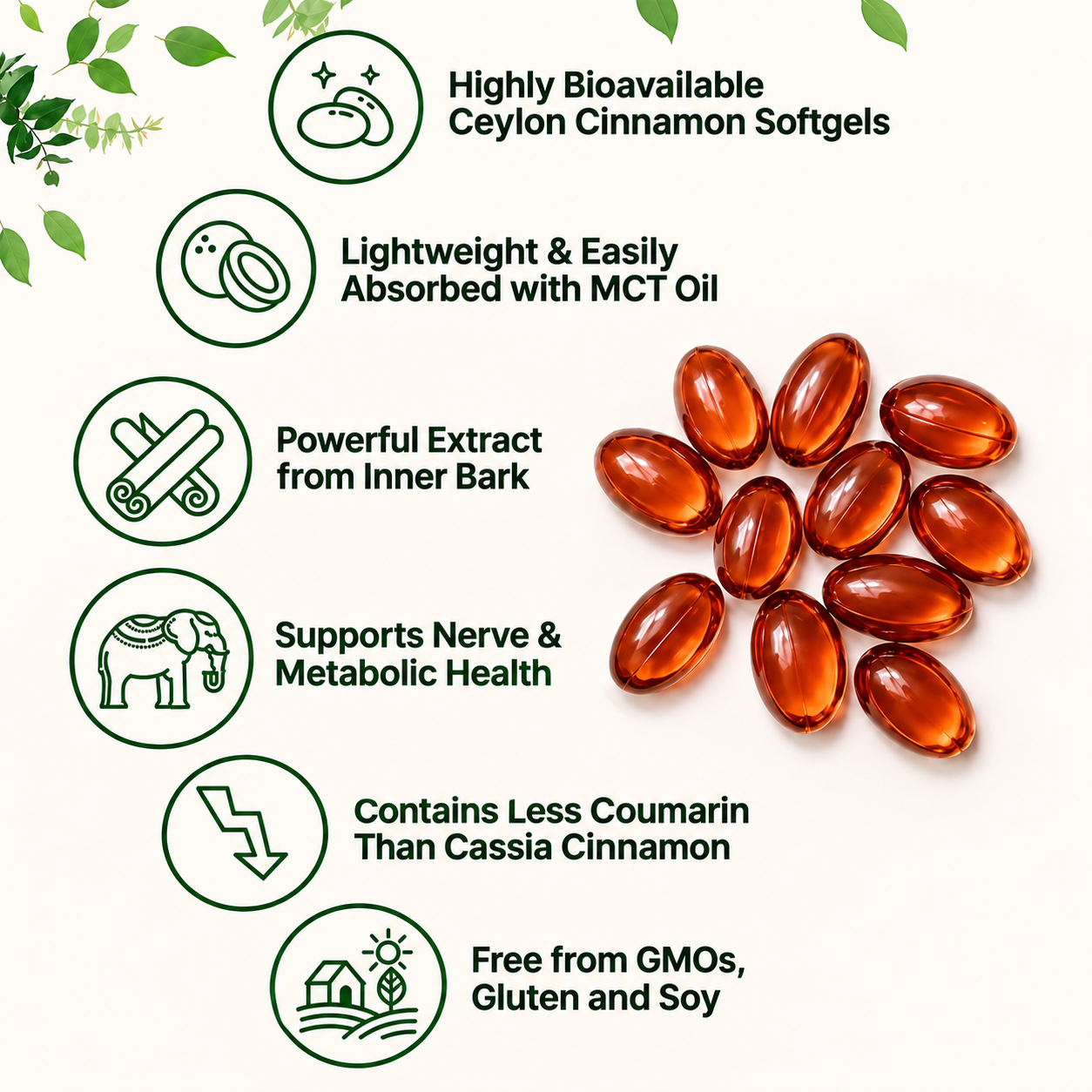 Clare Ceylon Cinnamon 7200mg equivalent with MCT Oil