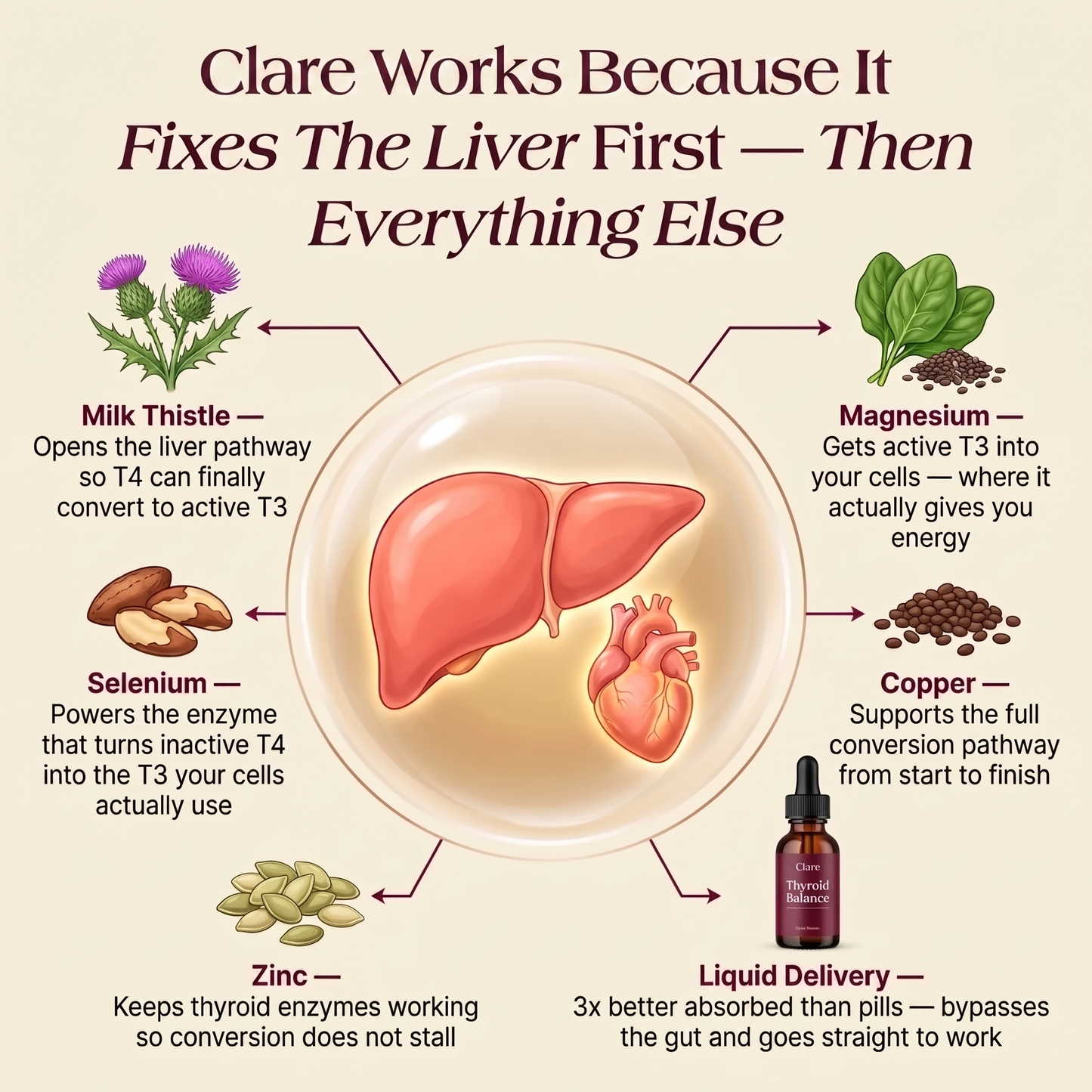 Clare Thyroid Balance